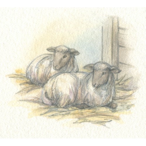 Miniature Painting - Sheep  						